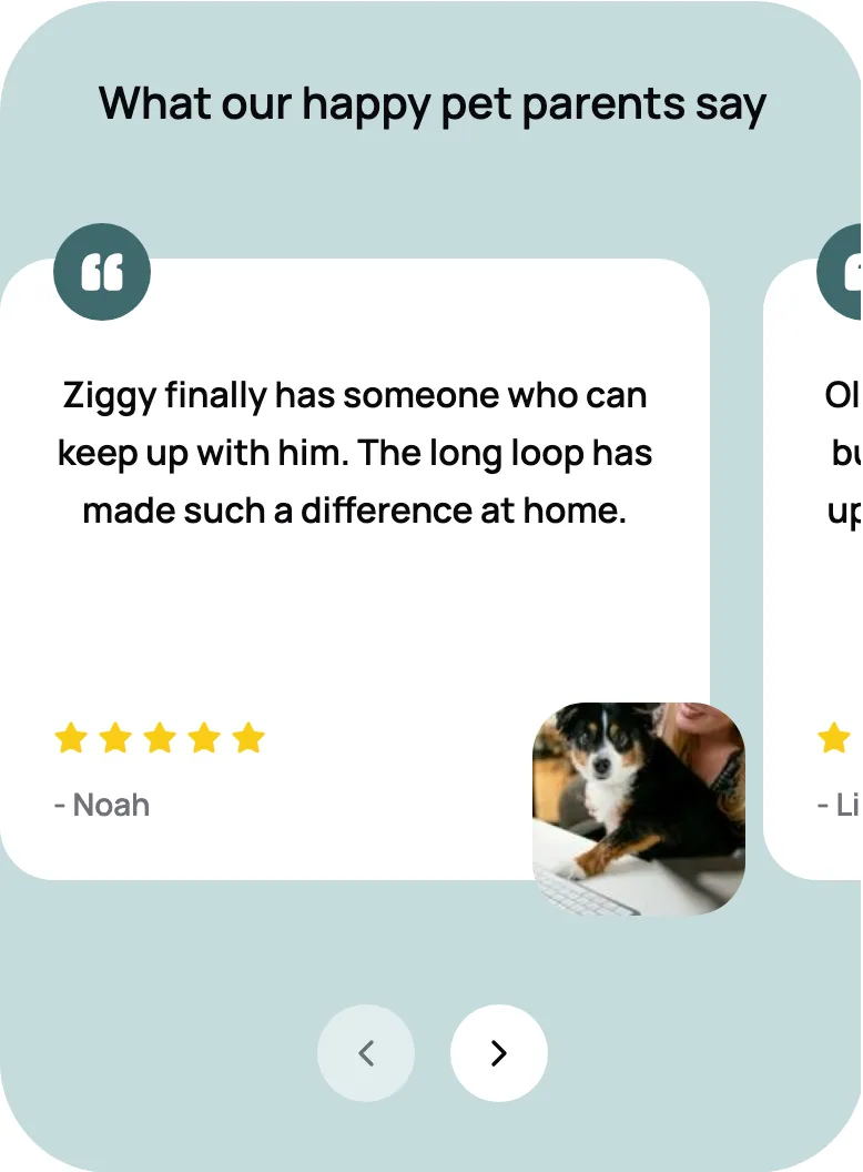 A five-star client review with a photo of their dog in the What our happy pet parents say carousel on a booking page