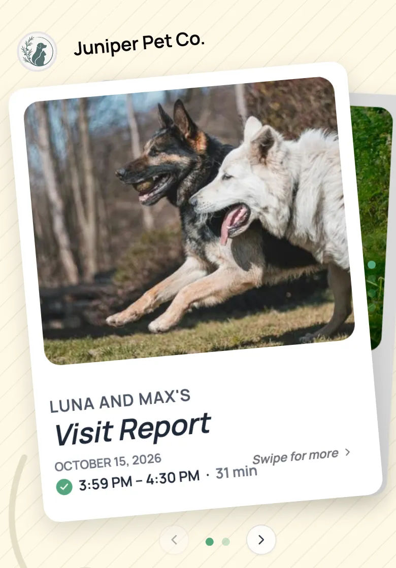 Report card cover on a phone with a photo of two dogs on a walk and the visit's date and time
