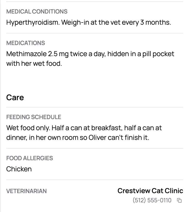 A cat's profile: hyperthyroidism, a twice-daily pill hidden in her wet food, a wet food feeding schedule, a chicken allergy, and her vet