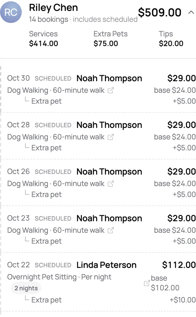 Pay report for one sitter with service, surcharge, extra pet, and tip earnings and an overnight stay paid by the night