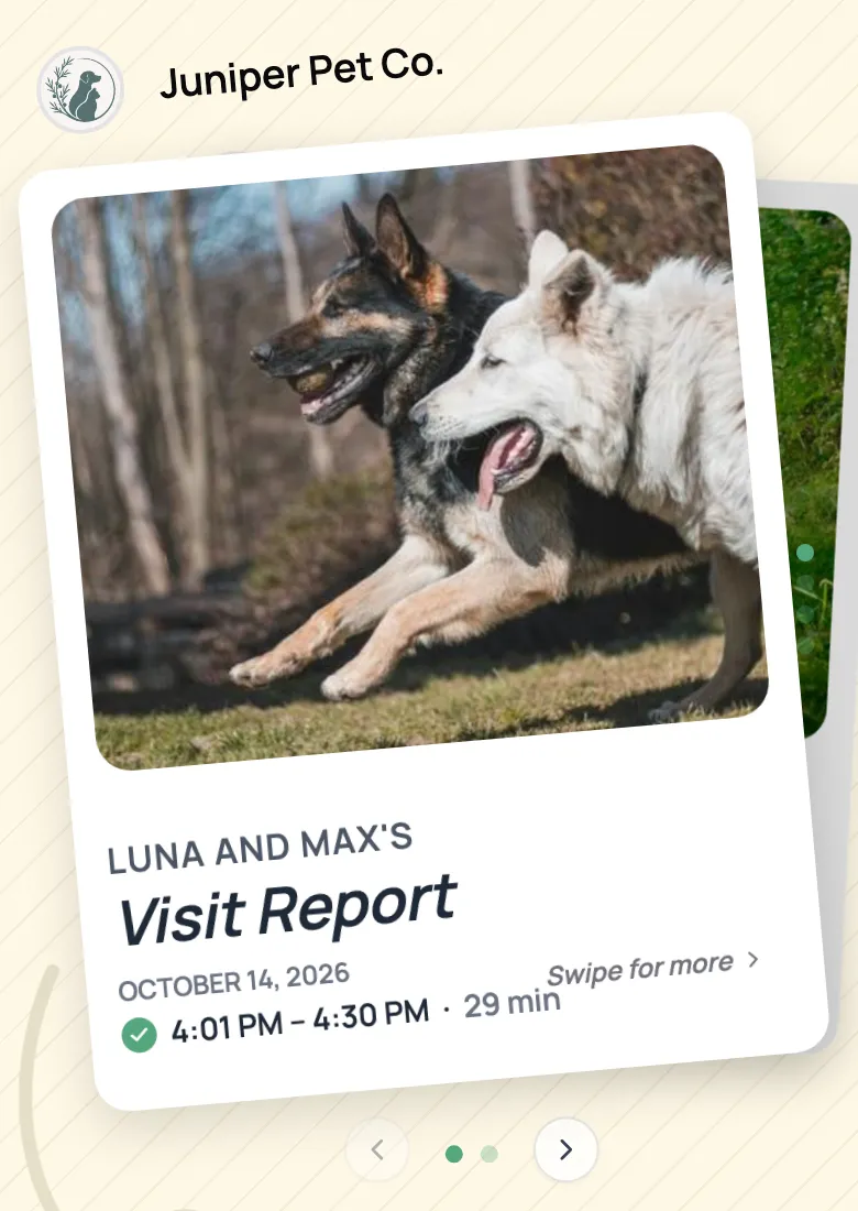 Photo report card for Luna and Max's walk, as the pet parent sees it on their phone