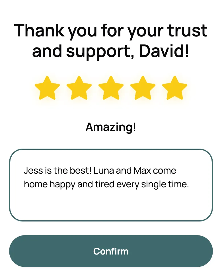 Review request with five stars selected and a glowing note about the walker