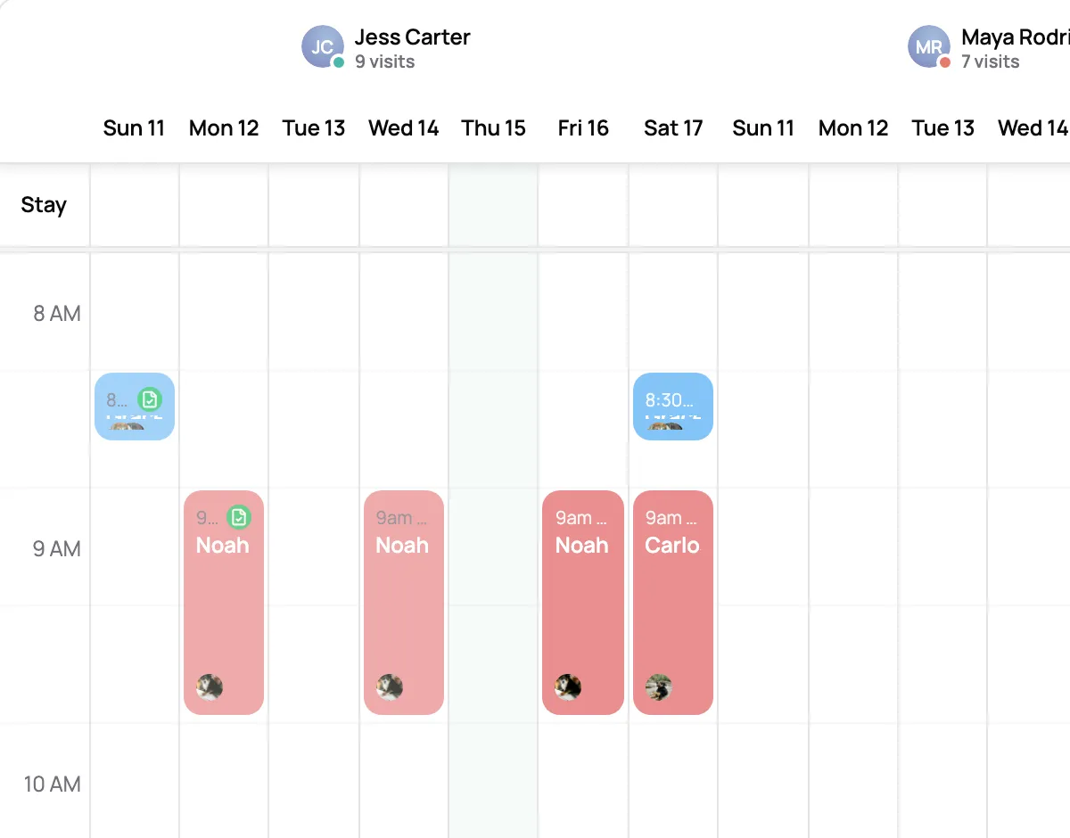 Calendar lanes for each team member with their visits