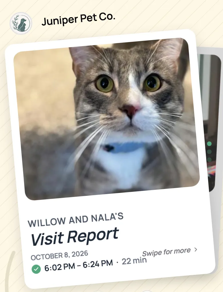 Report card cover with a photo of a cat, the visit date, and check-in and check-out times