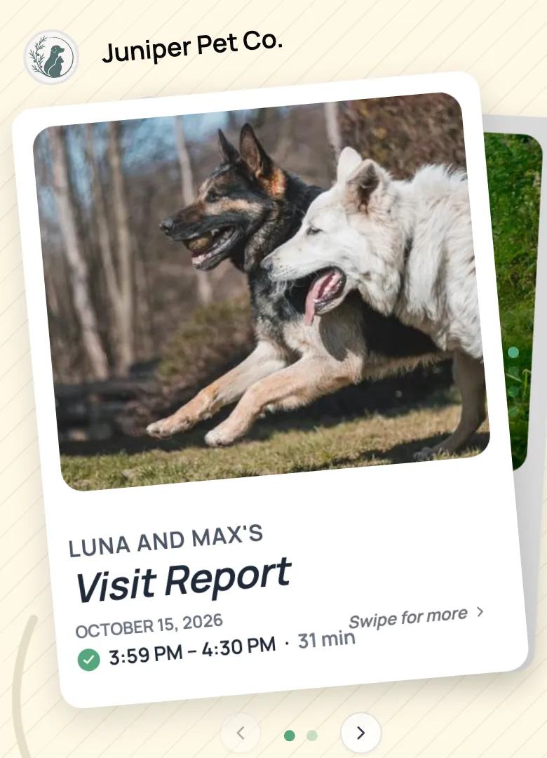 Report card cover for a two-dog walk: a photo of both dogs running, the date, and the walk from 3:59 to 4:30 PM, 31 minutes